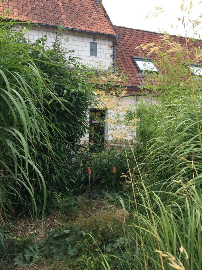 Le Clos Du Carpe Diem Cambligneul Exterior photo